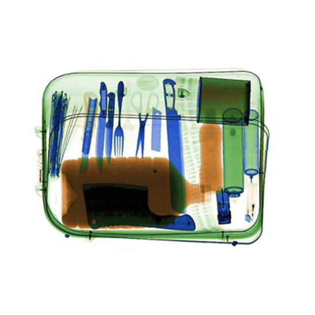 De autoscanner van de Alarm Echte Röntgenstraal, de Machine van het Bagageaftasten voor van de het aftastenmachine van de Openbare gebouwenbagage de veiligheidszak